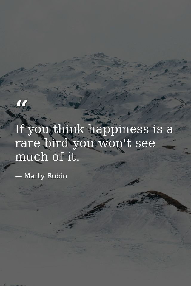 If you think happiness is a rare bird you won't see much of it. — Marty Rubin