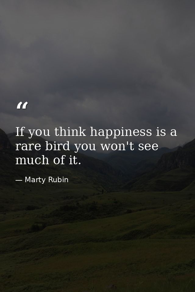 If you think happiness is a rare bird you won't see much of it. — Marty Rubin