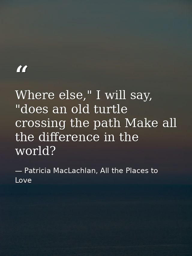 Where else," I will say, "does an old turtle crossing the path Make all the difference in the world? — Patricia MacLachlan, All the Places to Love