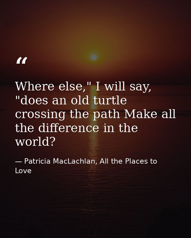 Where else," I will say, "does an old turtle crossing the path Make all the difference in the world? — Patricia MacLachlan, All the Places to Love