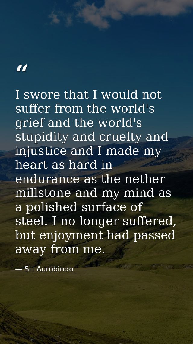 I swore that I would not suffer from the world's grief and the world's stupidity and cruelty and injustice and I made my — Sri Aurobindo
