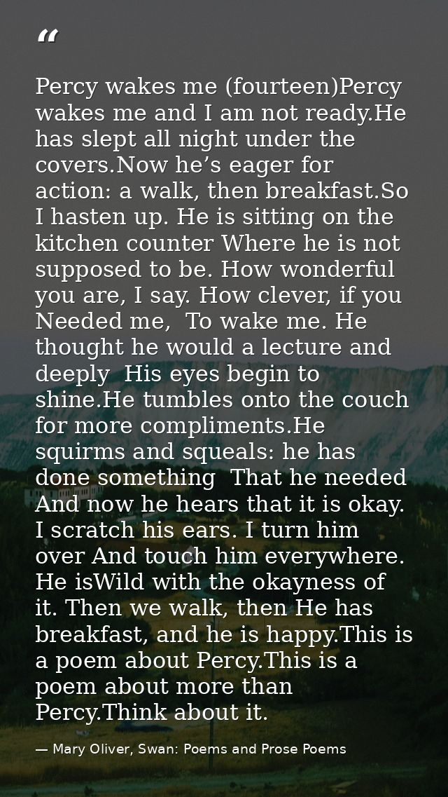 Percy wakes me (fourteen)Percy wakes me and I am not ready.He has slept all night under the covers.Now he’s eager for ac — Mary Oliver, Swan: Poems and Prose Poems