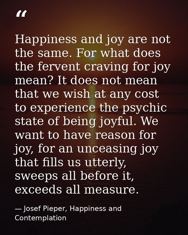Happiness and joy are not the same. For what does the fervent craving for joy mean? It does not mean that we wish at any — Josef Pieper, Happiness and Contemplation