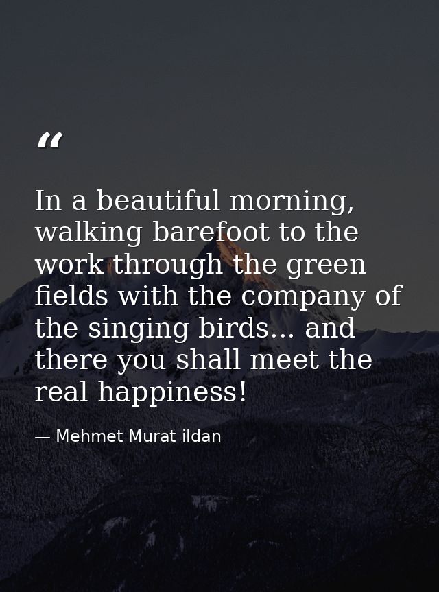 In a beautiful morning, walking barefoot to the work through the green fields with the company of the singing birds... a — Mehmet Murat ildan