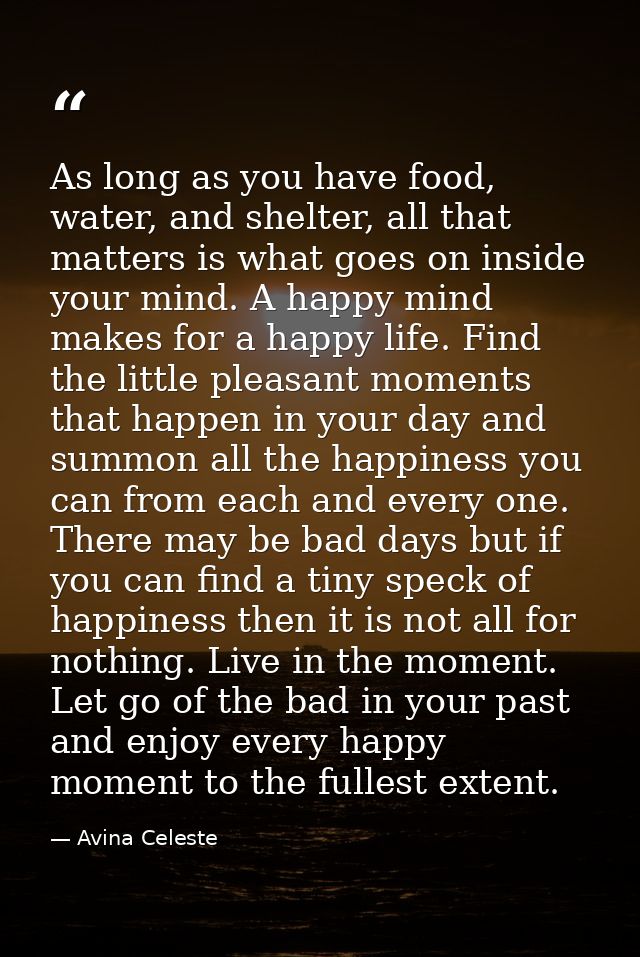 As long as you have food, water, and shelter, all that matters is what goes on inside your mind. A happy mind makes for  — Avina Celeste