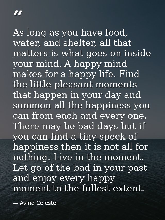 As long as you have food, water, and shelter, all that matters is what goes on inside your mind. A happy mind makes for  — Avina Celeste