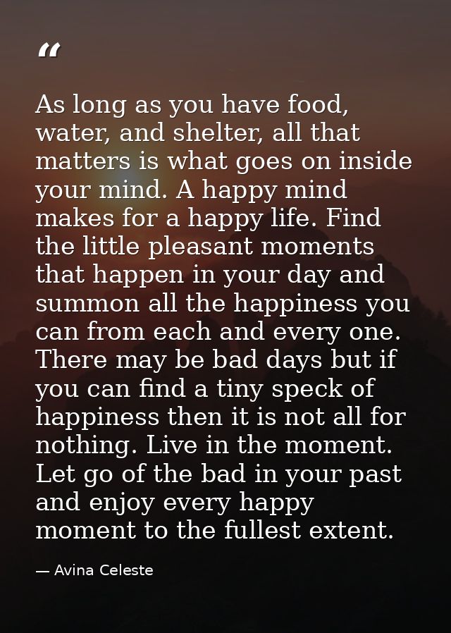 As long as you have food, water, and shelter, all that matters is what goes on inside your mind. A happy mind makes for  — Avina Celeste