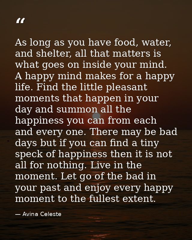 As long as you have food, water, and shelter, all that matters is what goes on inside your mind. A happy mind makes for  — Avina Celeste