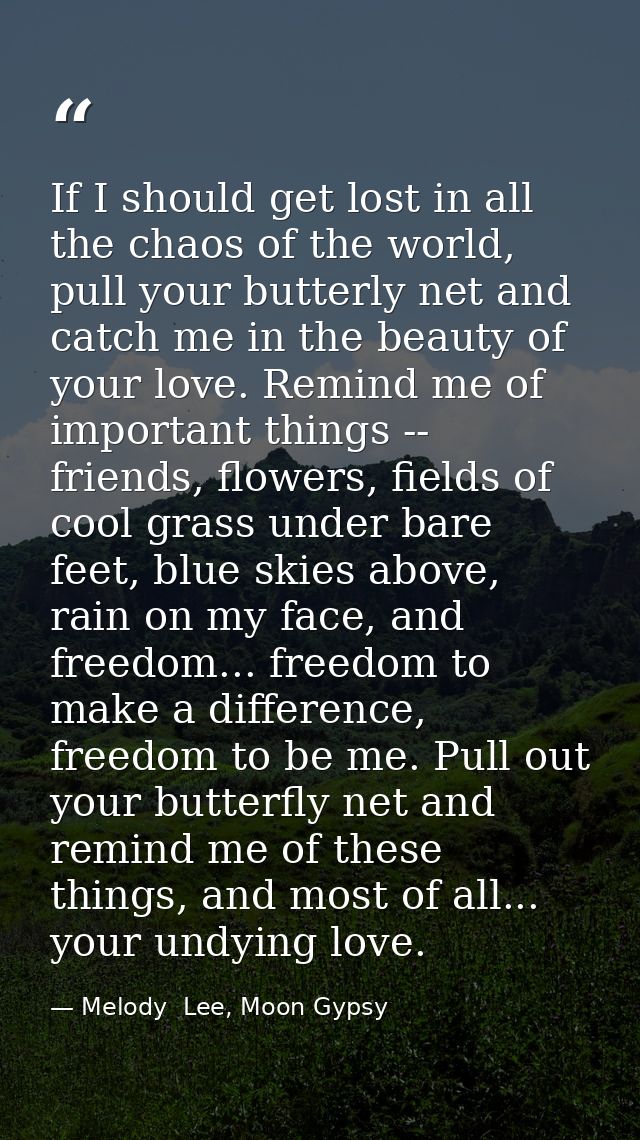 If I should get lost in all the chaos of the world, pull your butterly net and catch me in the beauty of your love. Remi — Melody  Lee, Moon Gypsy