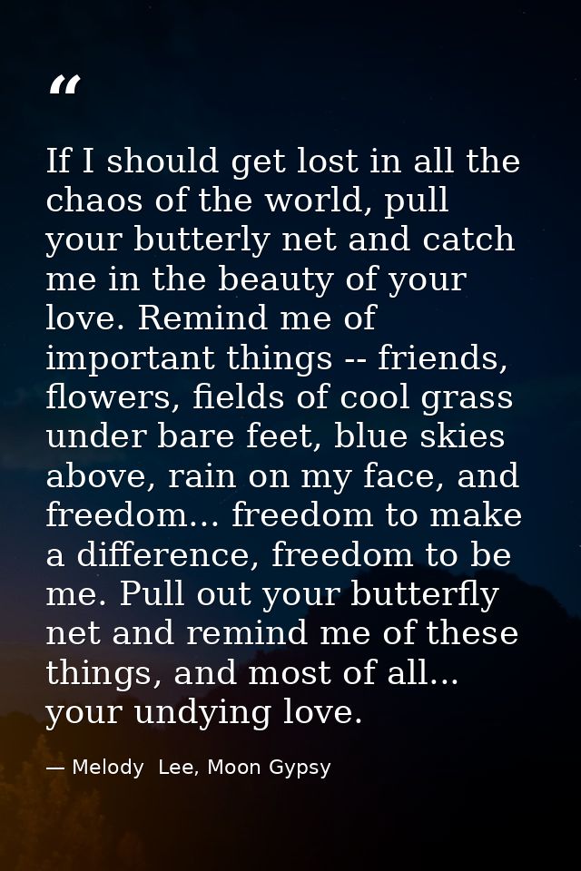 If I should get lost in all the chaos of the world, pull your butterly net and catch me in the beauty of your love. Remi — Melody  Lee, Moon Gypsy