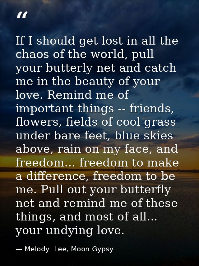 If I should get lost in all the chaos of the world, pull your butterly net and catch me in the beauty of your love. Remi — Melody  Lee, Moon Gypsy