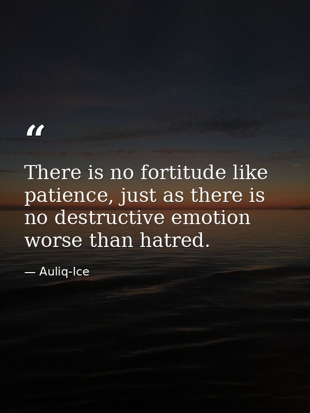 There is no fortitude like patience, just as there is no destructive emotion worse than hatred. — Auliq-Ice