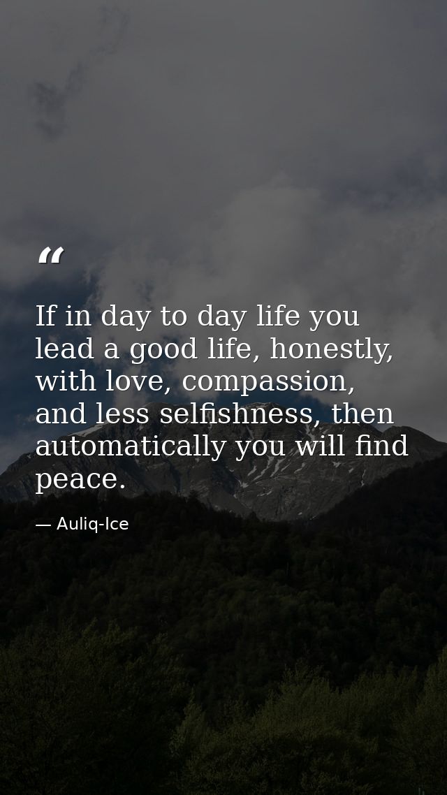 If in day to day life you lead a good life, honestly, with love, compassion, and less selfishness, then automatically yo — Auliq-Ice