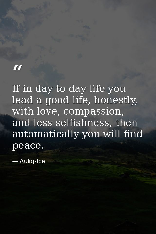 If in day to day life you lead a good life, honestly, with love, compassion, and less selfishness, then automatically yo — Auliq-Ice