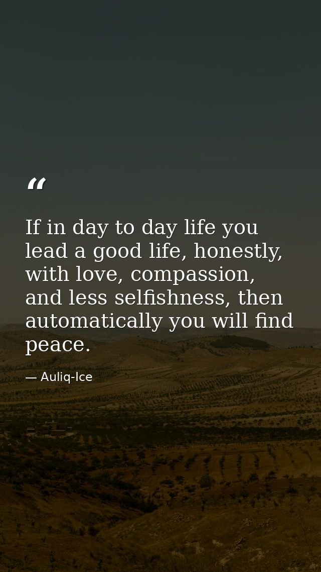 If in day to day life you lead a good life, honestly, with love, compassion, and less selfishness, then automatically yo — Auliq-Ice