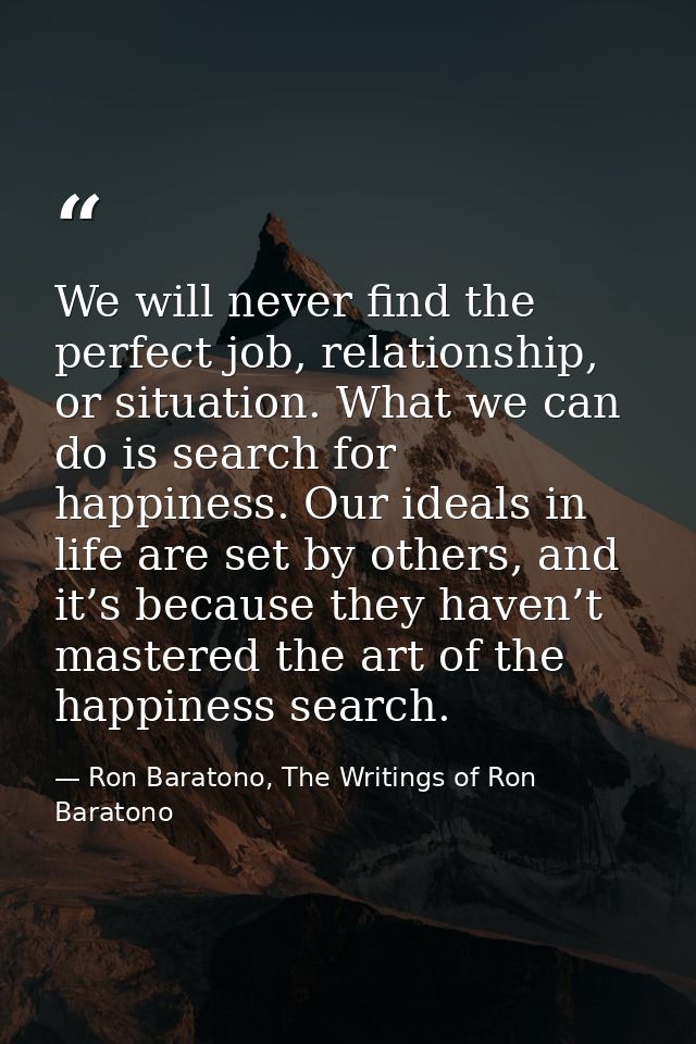 We will never find the perfect job, relationship, or situation. What we can do is search for happiness. Our ideals in li — Ron Baratono, The Writings of Ron Baratono