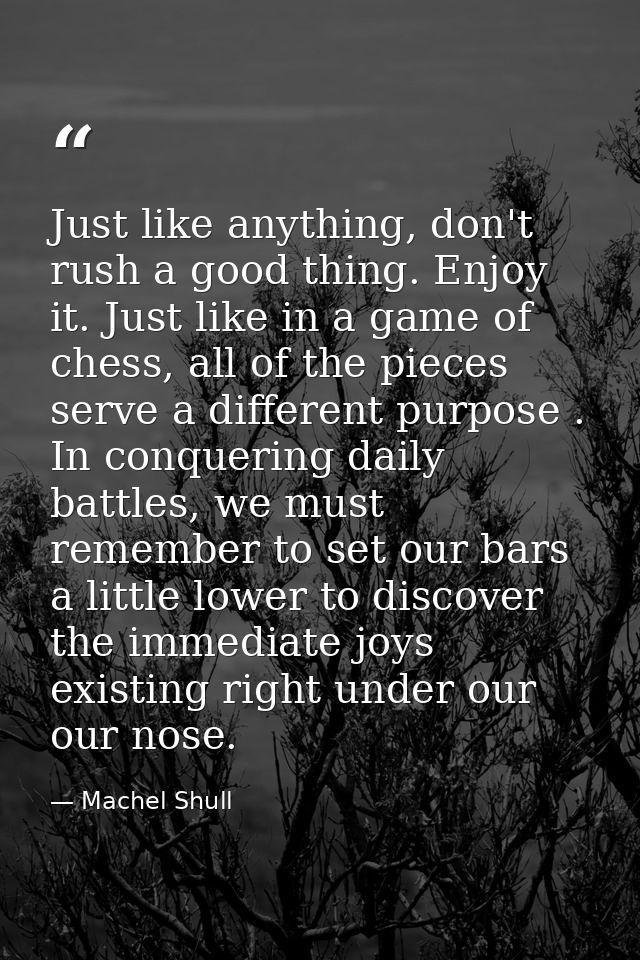 Just like anything, don't rush a good thing. Enjoy it. Just like in a game of chess, all of the pieces serve a different — Machel Shull