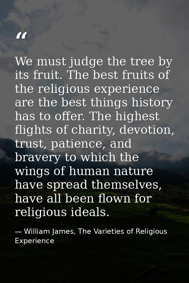 We must judge the tree by its fruit. The best fruits of the religious experience are the best things history has to offe — William James, The Varieties of Religious Experience