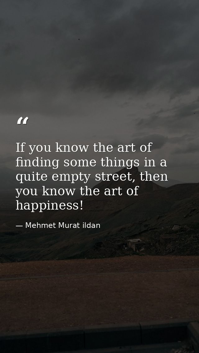 If you know the art of finding some things in a quite empty street, then you know the art of happiness! — Mehmet Murat ildan