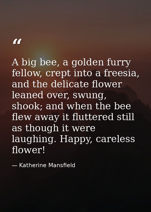 A big bee, a golden furry fellow, crept into a freesia, and the delicate flower leaned over, swung, shook; and when the  — Katherine Mansfield