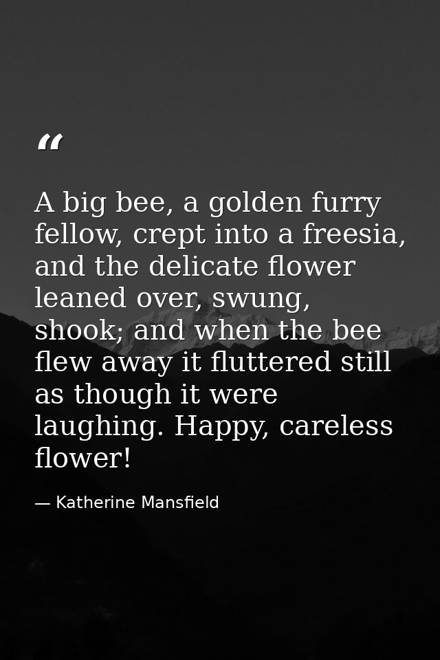 A big bee, a golden furry fellow, crept into a freesia, and the delicate flower leaned over, swung, shook; and when the  — Katherine Mansfield