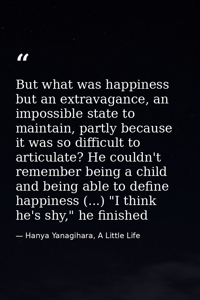 But what was happiness but an extravagance, an impossible state to maintain, partly because it was so difficult to artic — Hanya Yanagihara, A Little Life
