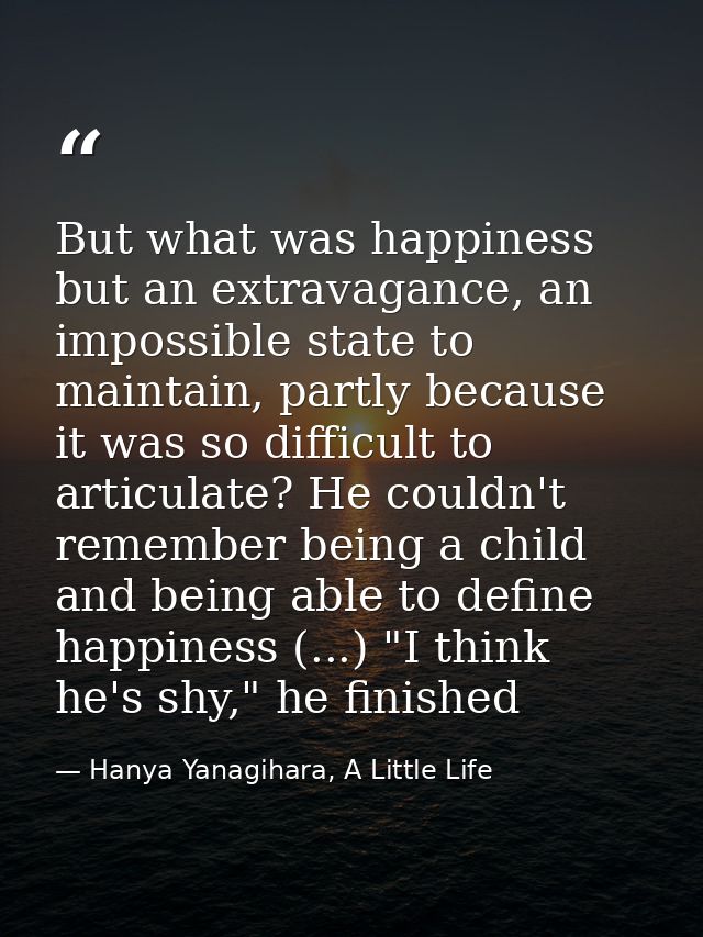 But what was happiness but an extravagance, an impossible state to maintain, partly because it was so difficult to artic — Hanya Yanagihara, A Little Life