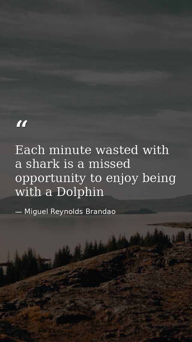 Each minute wasted with a shark is a missed opportunity to enjoy being with a Dolphin — Miguel Reynolds Brandao