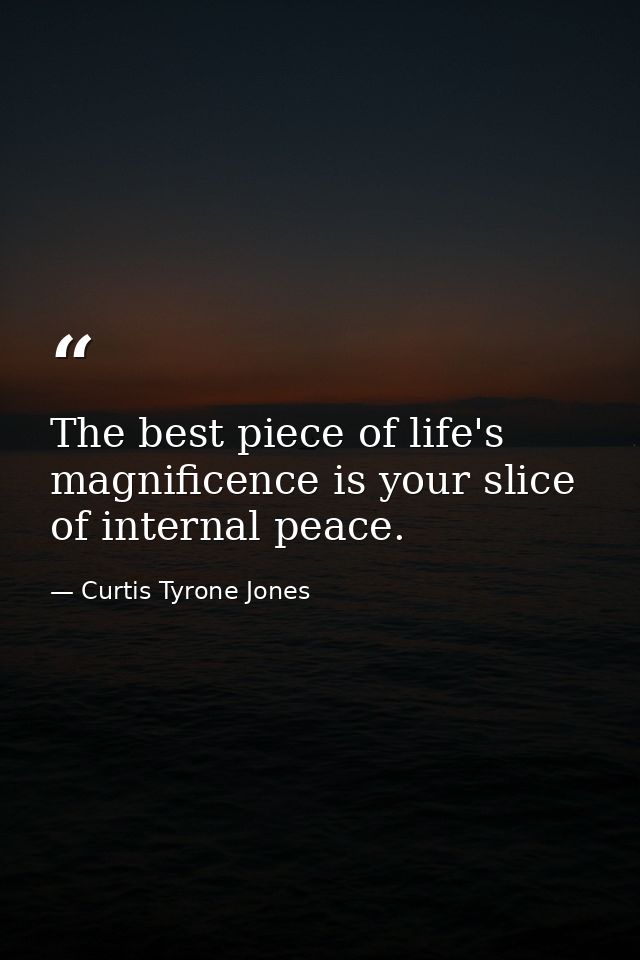 The best piece of life's magnificence is your slice of internal peace. — Curtis Tyrone Jones