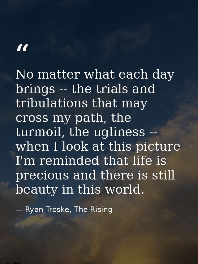 No matter what each day brings -- the trials and tribulations that may cross my path, the turmoil, the ugliness -- when  — Ryan Troske, The Rising