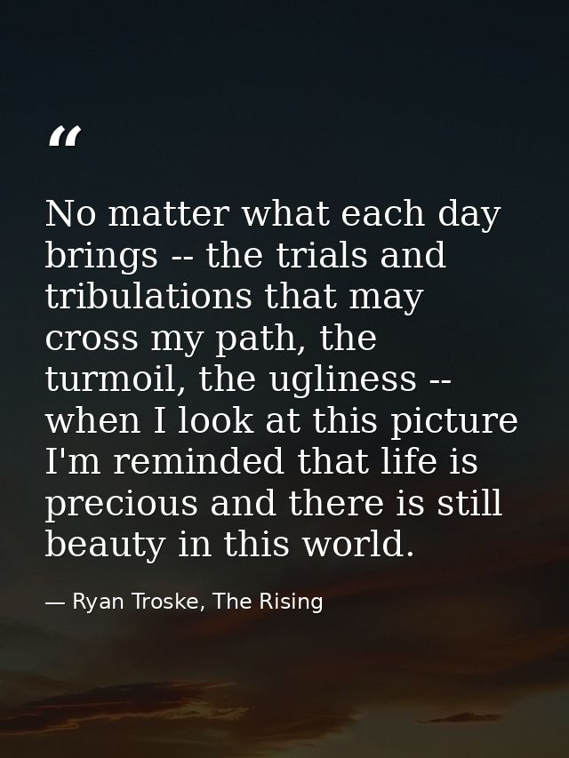 No matter what each day brings -- the trials and tribulations that may cross my path, the turmoil, the ugliness -- when  — Ryan Troske, The Rising