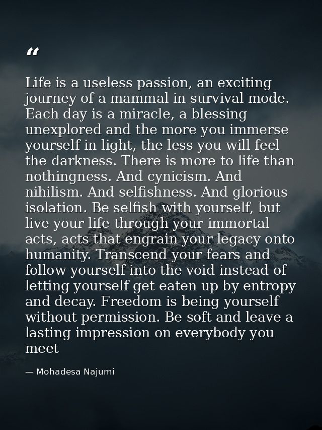 Life is a useless passion, an exciting journey of a mammal in survival mode. Each day is a miracle, a blessing unexplore — Mohadesa Najumi