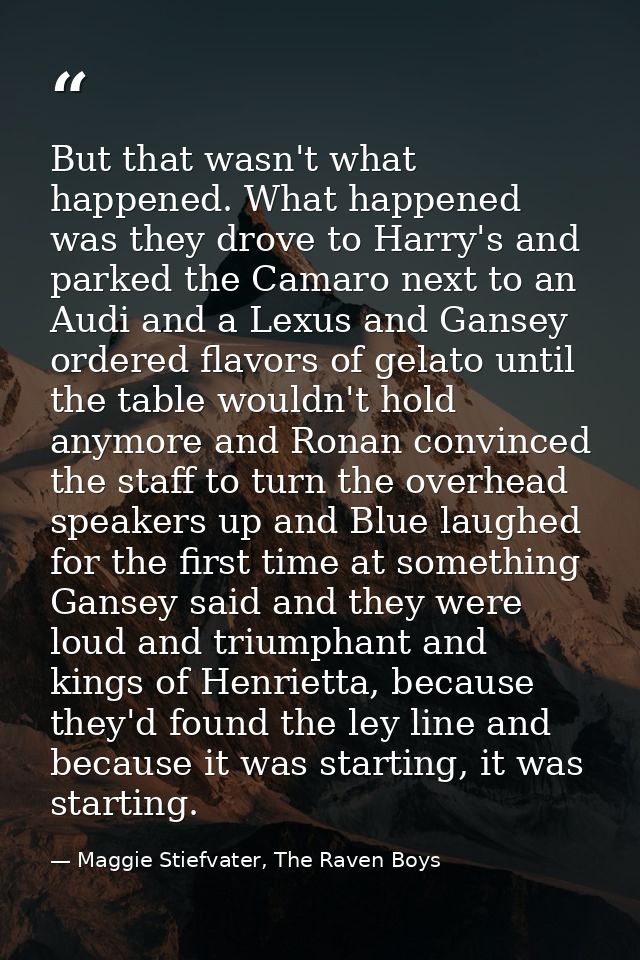 But that wasn't what happened. What happened was they drove to Harry's and parked the Camaro next to an Audi and a Lexus — Maggie Stiefvater, The Raven Boys