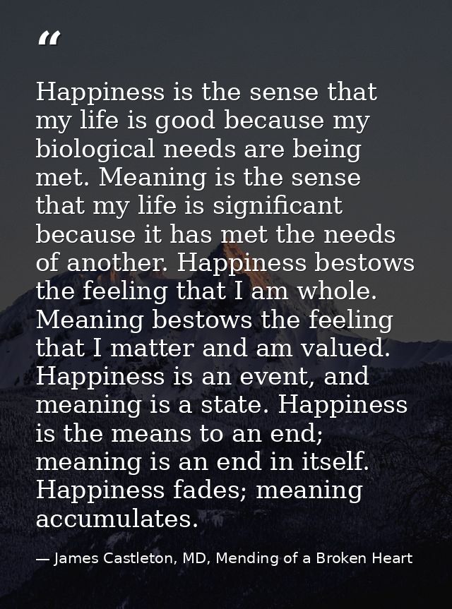 Happiness is the sense that my life is good because my biological needs are being met. Meaning is the sense that my life — James Castleton, MD, Mending of a Broken Heart