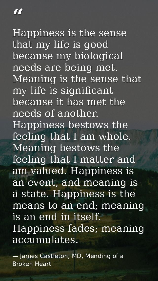 Happiness is the sense that my life is good because my biological needs are being met. Meaning is the sense that my life — James Castleton, MD, Mending of a Broken Heart
