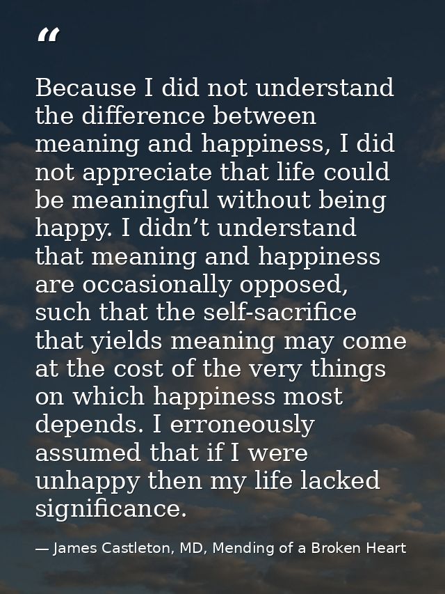 Because I did not understand the difference between meaning and happiness, I did not appreciate that life could be meani — James Castleton, MD, Mending of a Broken Heart