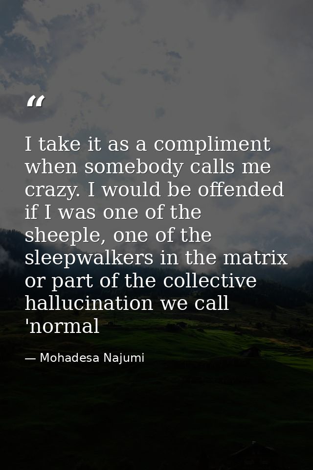 I take it as a compliment when somebody calls me crazy. I would be offended if I was one of the sheeple, one of the slee — Mohadesa Najumi