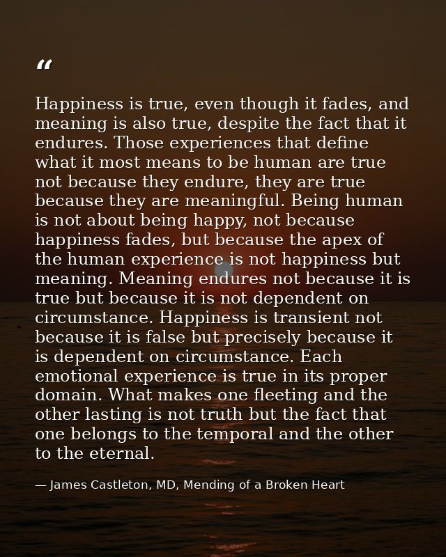 Happiness is true, even though it fades, and meaning is also true, despite the fact that it endures. Those experiences t — James Castleton, MD, Mending of a Broken Heart
