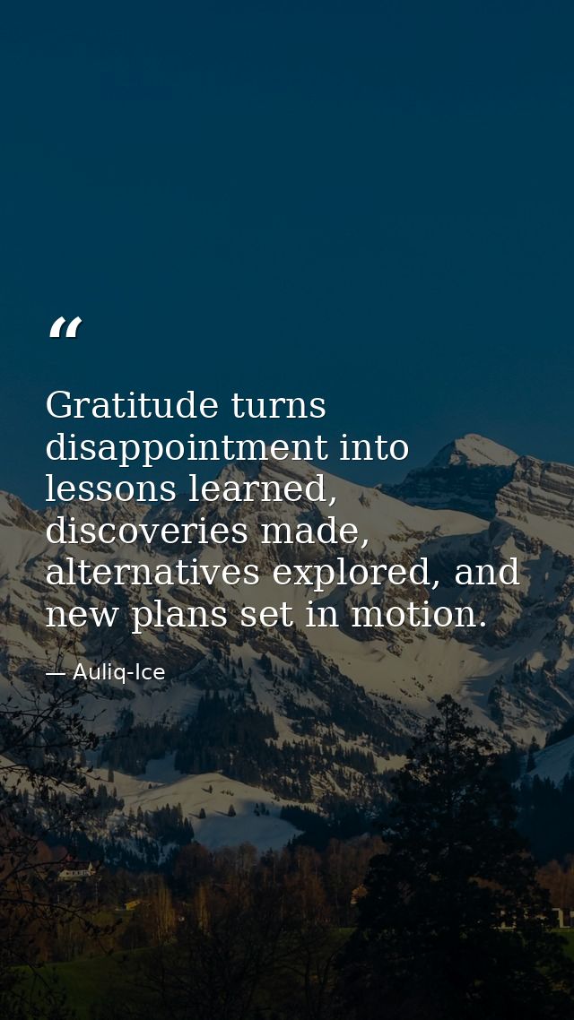 Gratitude turns disappointment into lessons learned, discoveries made, alternatives explored, and new plans set in motio — Auliq-Ice