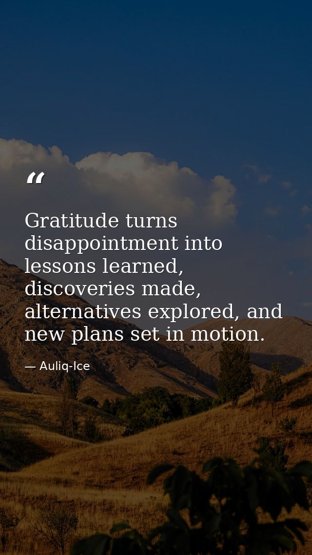 Gratitude turns disappointment into lessons learned, discoveries made, alternatives explored, and new plans set in motio — Auliq-Ice