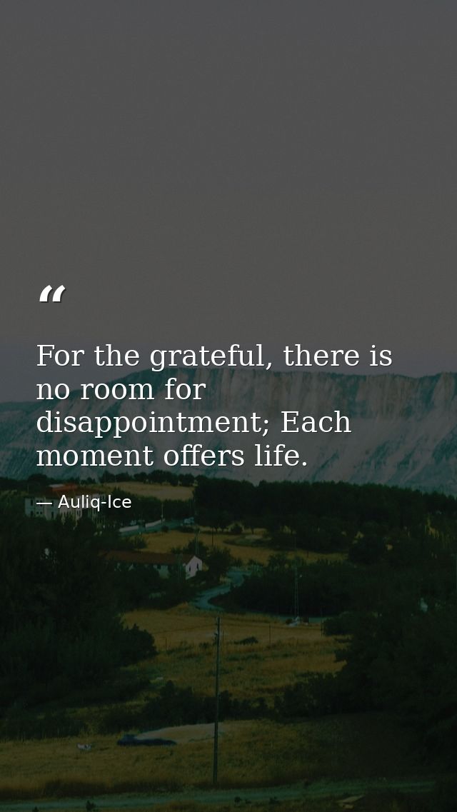 For the grateful, there is no room for disappointment; Each moment offers life. — Auliq-Ice