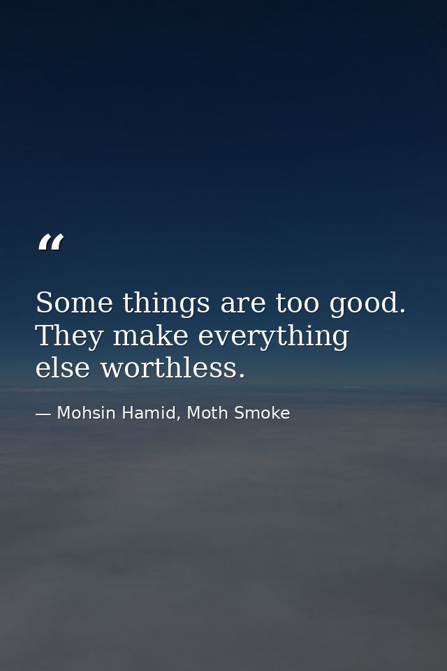 Some things are too good. They make everything else worthless. — Mohsin Hamid, Moth Smoke