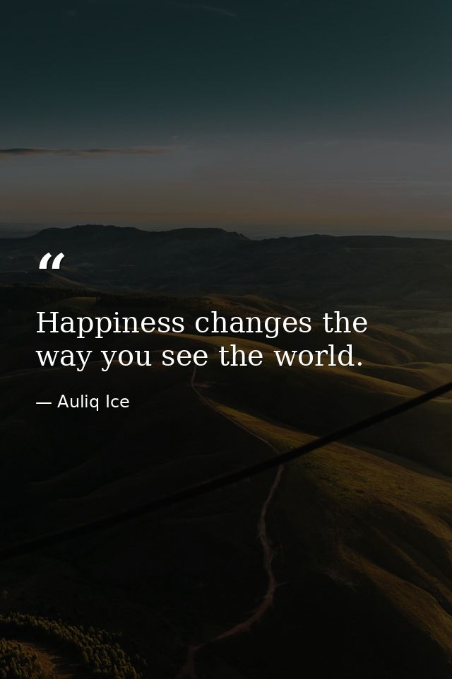 Happiness changes the way you see the world. — Auliq Ice