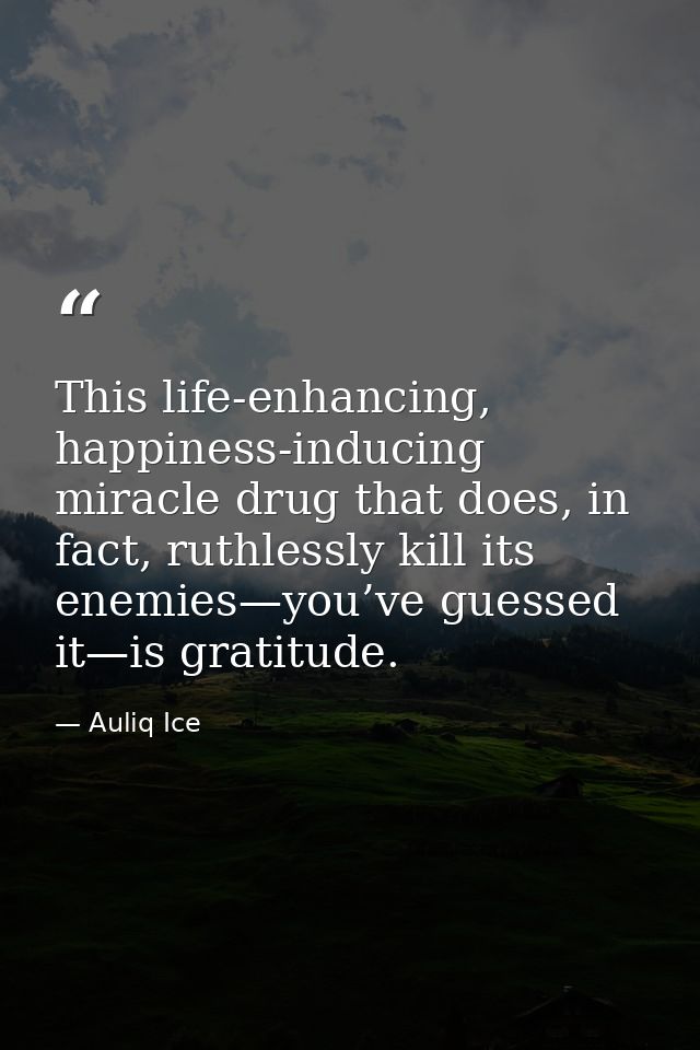 This life-enhancing, happiness-inducing miracle drug that does, in fact, ruthlessly kill its enemies—you’ve guessed it—i — Auliq Ice