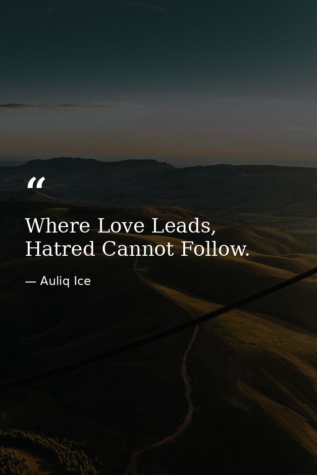 Where Love Leads, Hatred Cannot Follow. — Auliq Ice
