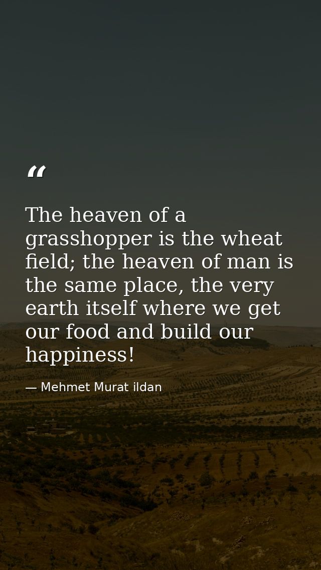 The heaven of a grasshopper is the wheat field; the heaven of man is the same place, the very earth itself where we get  — Mehmet Murat ildan