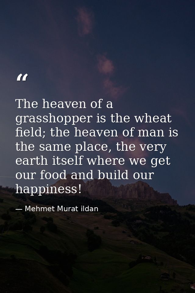 The heaven of a grasshopper is the wheat field; the heaven of man is the same place, the very earth itself where we get  — Mehmet Murat ildan