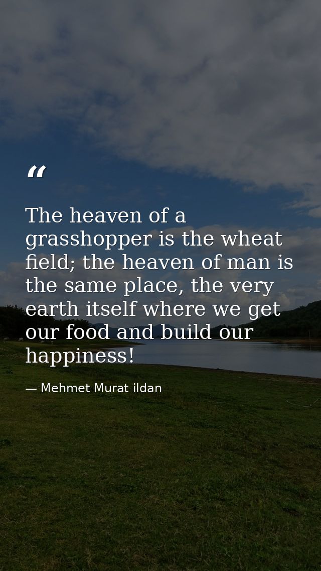The heaven of a grasshopper is the wheat field; the heaven of man is the same place, the very earth itself where we get  — Mehmet Murat ildan