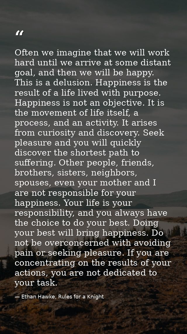 Often we imagine that we will work hard until we arrive at some distant goal, and then we will be happy. This is a delus — Ethan Hawke, Rules for a Knight