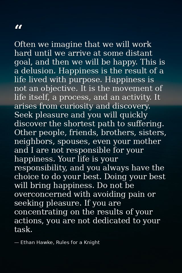 Often we imagine that we will work hard until we arrive at some distant goal, and then we will be happy. This is a delus — Ethan Hawke, Rules for a Knight